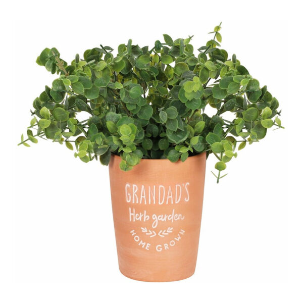 Grandads Garden Terracotta Plant Pot