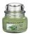Village Sage and Celery 11oz Small Jar Candle