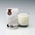 Spry Aprodite Medium Glass Jar Candle